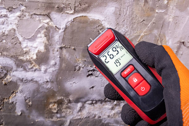 Best Certified Mold Removal  in Hephzibah, GA