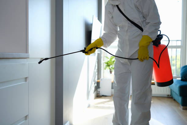 Best Mold Cleaning Services  in Hephzibah, GA