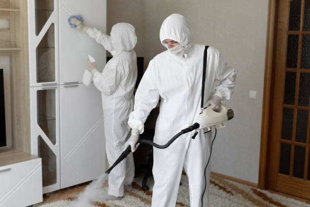 Best Mold Cleaning Services  in Hephzibah, GA